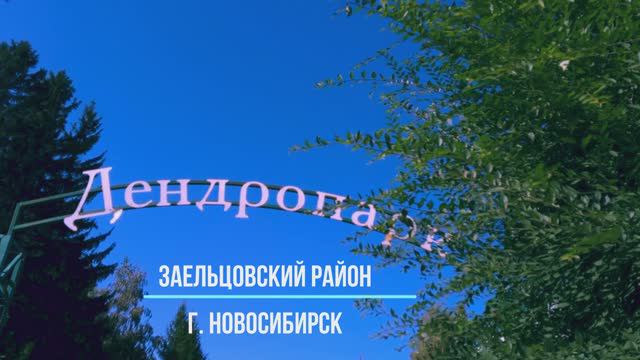 Дендропарк Новосибирска. Лето 2024. Парки Новосибирска.