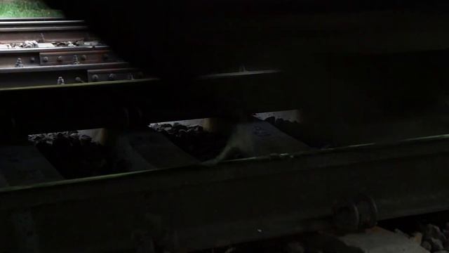 ЭКСПЕРИМЕНТ: НЕНЬЮТОНОВСКАЯ ЖИДКОСТЬ Vs ПОЕЗД