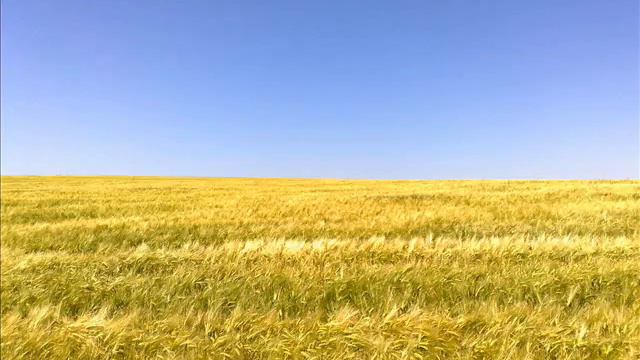 УНИКАЛЬНЫЕ ПРОДУКТЫ ИЗРАИЛЬ смотреть онлайн