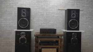 Sony ss-G3.Один из лучших закрытых ящиков!