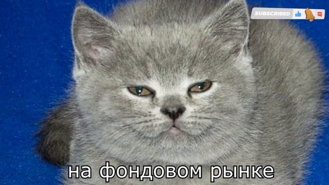 ПРЕВОСХОДНО!