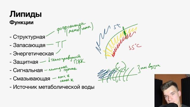 2.21. Функции липидов | Цитология к ЕГЭ | Георгий Мишуровский смотреть онлайн