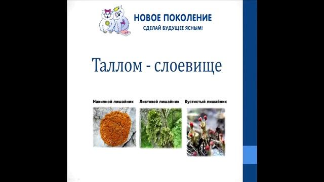Биология. Объяснение темы "Лишайники" смотреть онлайн