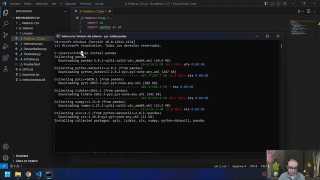 Cómo instalar BrutalBrain (Script Python) смотреть онлайн