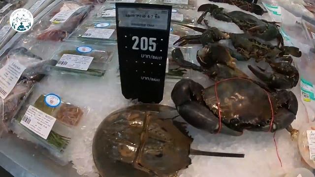 Tayland'da gezdiğim markette gözlerime inanamadım! Meyveler, et reyonu, canlı balıklar... смотреть онлайн