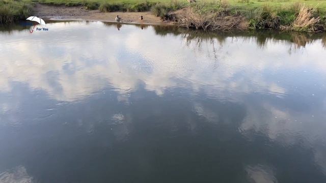 Весна в Англии // Spring In England