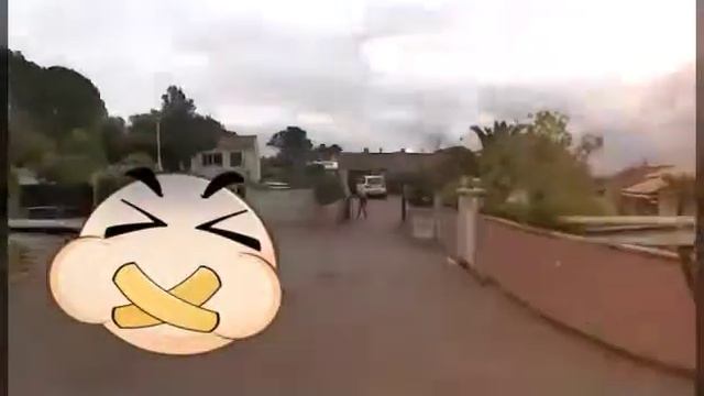 Mon parrot mambo смотреть онлайн