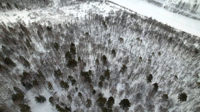 дача на берегу Ини рядом поселок Михайловский садовое товрищество Кристалл участок 331 смотреть онлайн