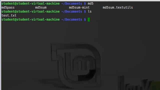 Hashing смотреть онлайн