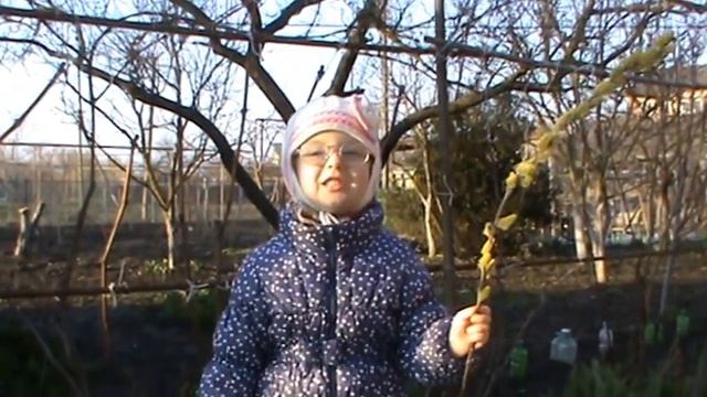 Страна читающая — Мария Халеева читает произведение «Весна (Зима не даром злится…)» Ф. И. Тютчева смотреть онлайн