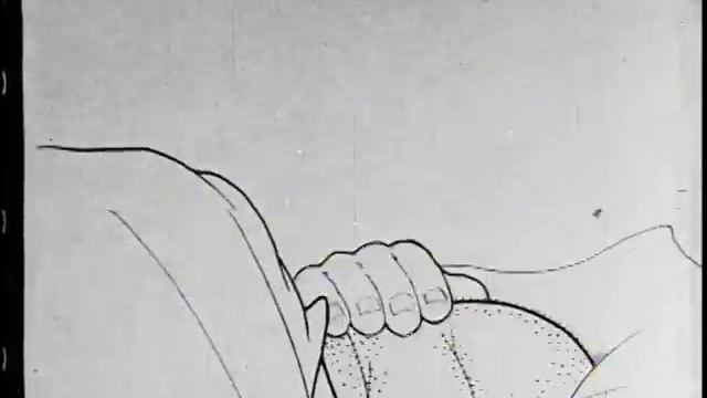 How A Mosquito Operates (1912) Winsor McCay Animation