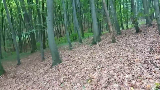 22 вересня 2021 р. смотреть онлайн