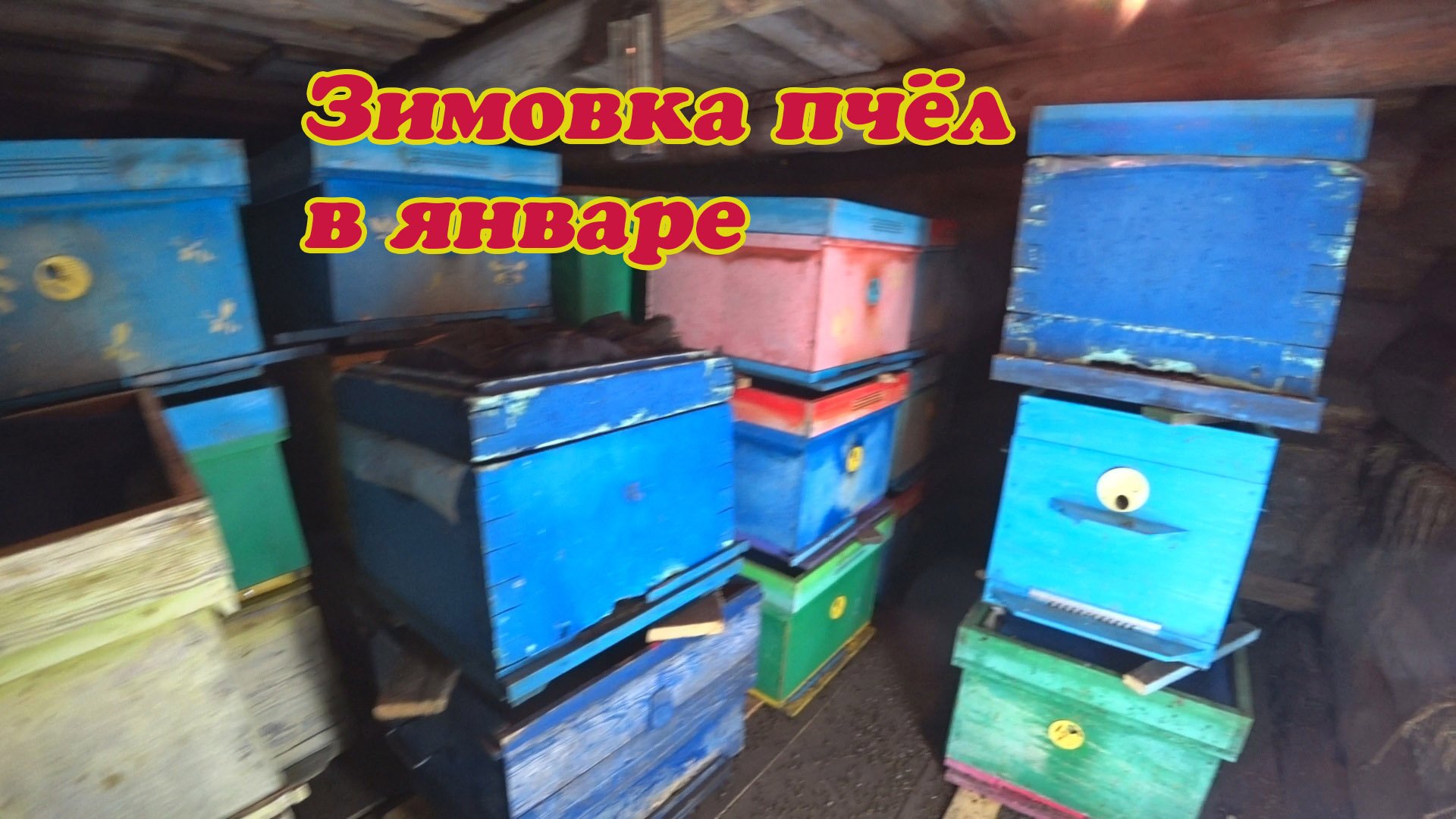 1 ЯНВАРЯ ЗАВАЛИЛО СНЕГОМ, ЧИСТИМ И УБИРАЕМ, ЗИМОВКА ПЧЁЛ, ЖАРИМ НОВОГОДНИЙ ШАШЛЫК смотреть онлайн