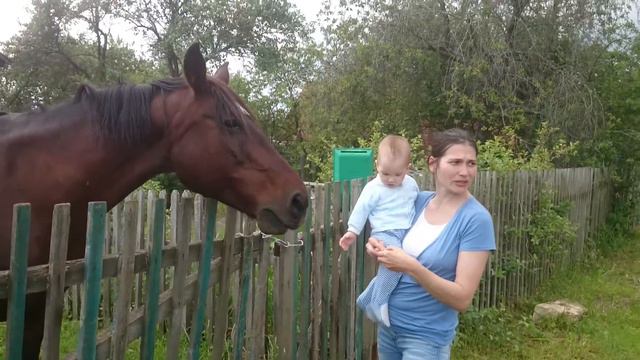 Иван первый раз видит живую лошадь смотреть онлайн