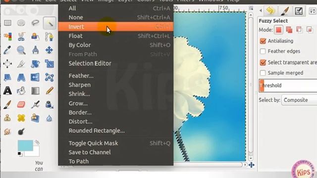 Learning GIMP: Inverting a Selection смотреть онлайн