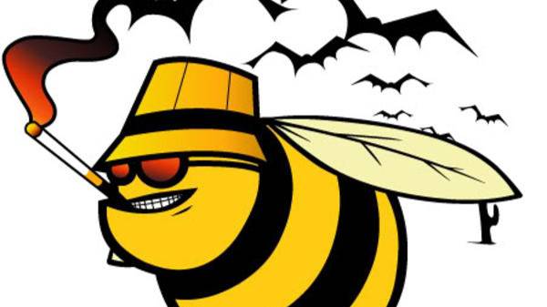 EVE Online Goonswarm Federation