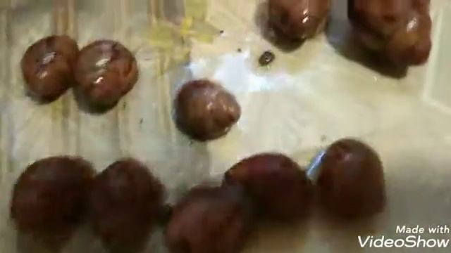 Сутуралисы ф3 Нигерия и марги марги ф2 смотреть онлайн