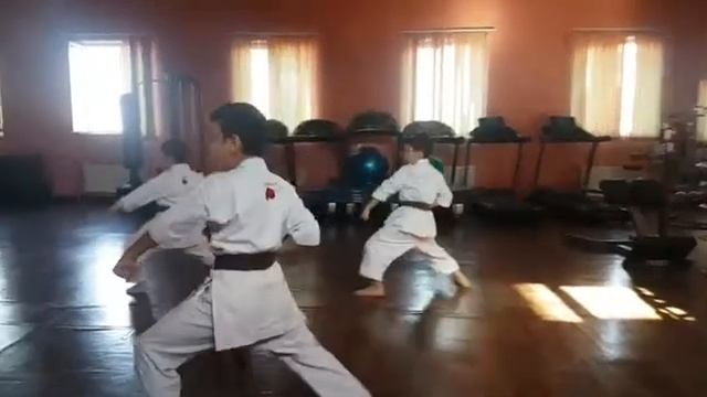 kata Heian Shodan . Traditional Shotokan Fudokan karate do