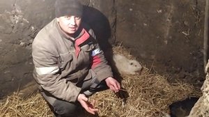 Самый Лучший Способ Содержание Нутрий !!!!!!!!!!!