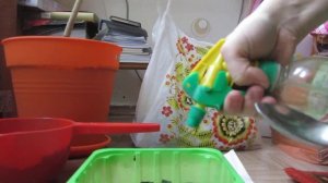 Зверобой из семян (часть 1)