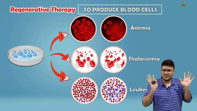 Cell Biology And Biotechnology, Lecture 2 | Class 10 SSC | Uses Of Stem Cells, Organ Transplantatio
