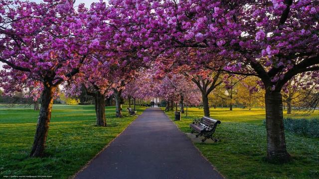 СЧАСТЬЕ ОНО ТАКОЕ экв сл В Шентала, муз В Воронцов, вок Л Великанова , звук А Макалиш смотреть онлайн