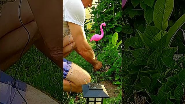 Садовый светильник VNL Розовый фламинго / Garden lamp VNL Pink Flamingo смотреть онлайн