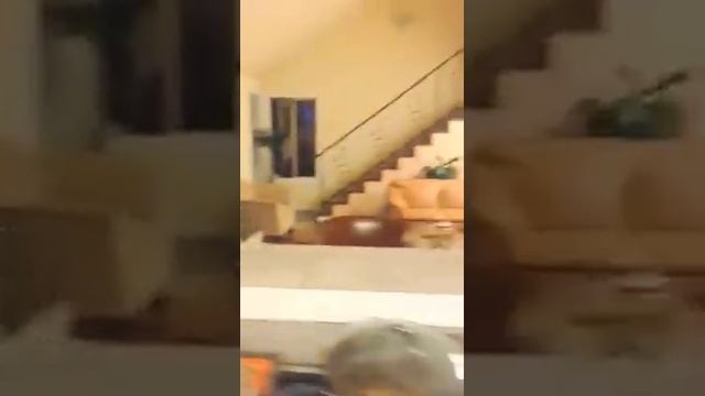 Яша & Яша исполняют 