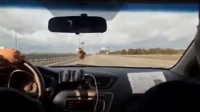 11.09.2020 Москва-Бишкек смотреть онлайн