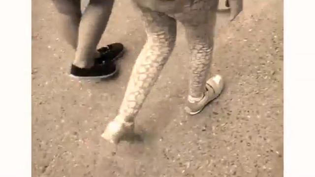 Без оглядки смотреть онлайн