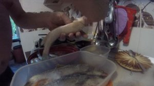 Готовим усача. Солим и жарим.
