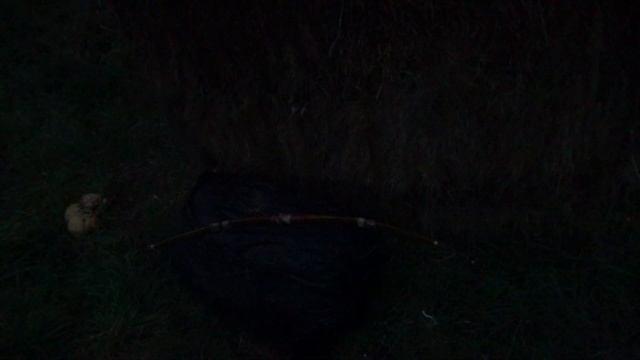 С такими маленькими луками индейцы охотились на крупного зверя. смотреть онлайн