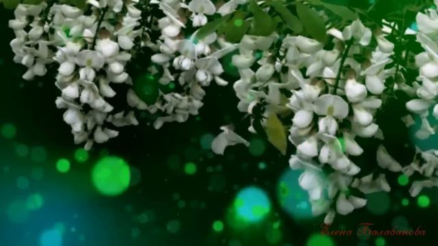 Романс из кинофильма ДНИ  ТУРБИНЫХ