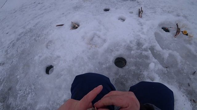 Ловля Ельца и Плотвы на РЕКЕ/ Рыбалка на Плёсе/ Берёт крупный!!! смотреть онлайн