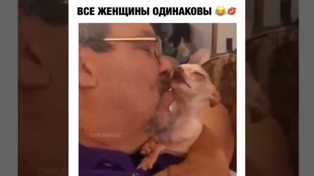 Весельчак.