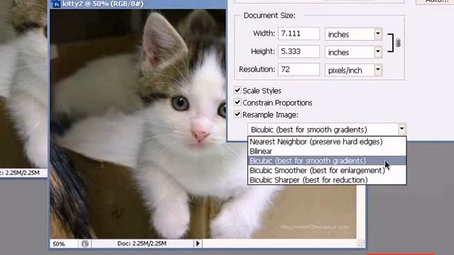 Mengubah Ukuran Gambar dan Kanvas di Photoshop #5 смотреть онлайн