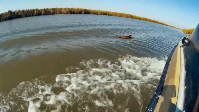 Астрахань, путешествие и рыбалка 2014 Часть2 смотреть онлайн