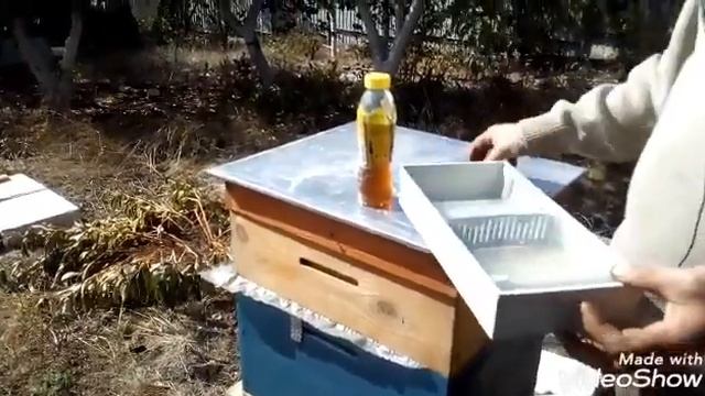 КАС-81. Клещ Варроа пчелам не страшен. смотреть онлайн