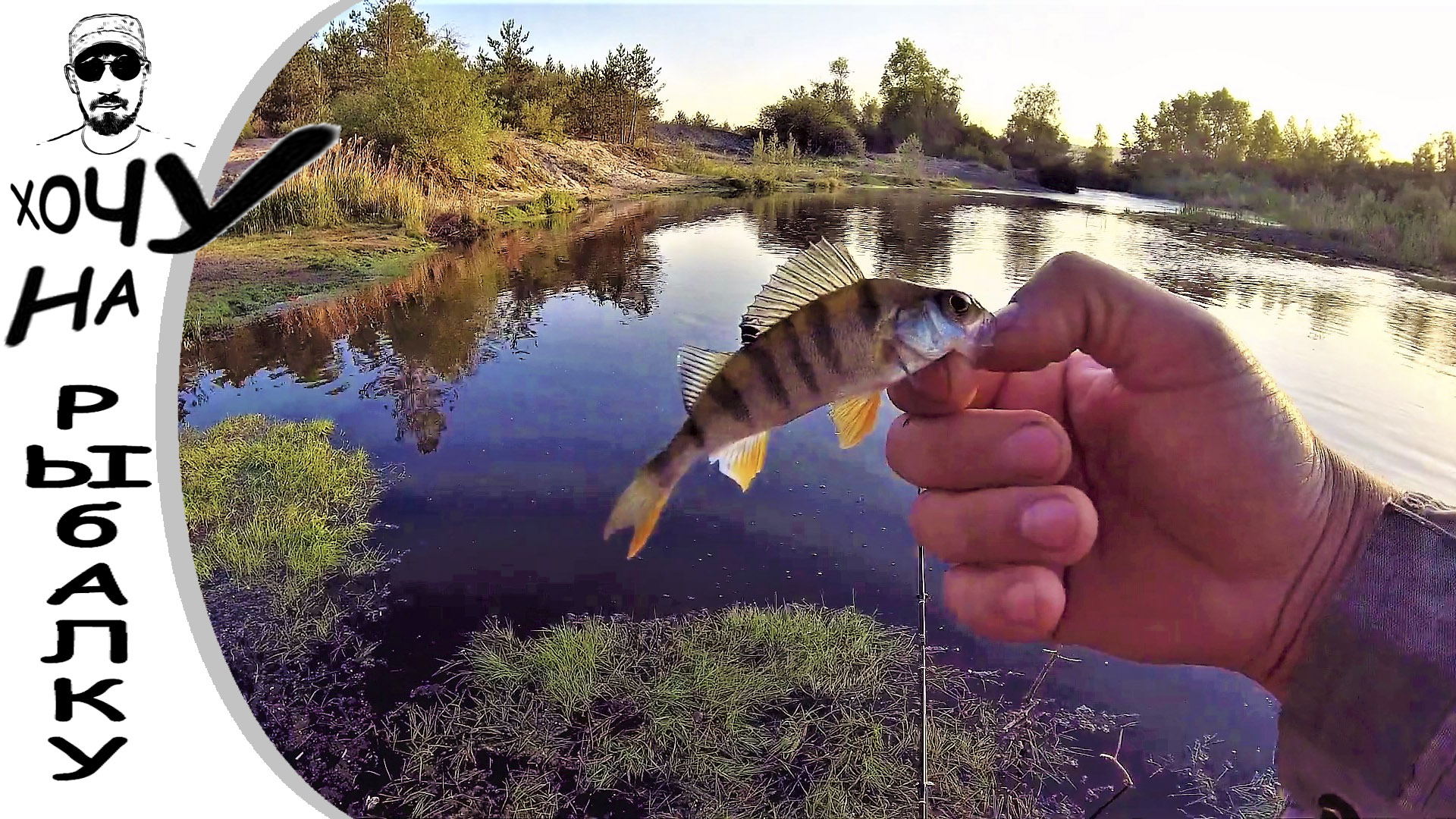 Окунь на ультралайт. 13.05.2020 смотреть онлайн