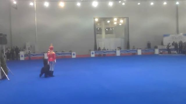 Евразия-2012 показательные РЧТ Team