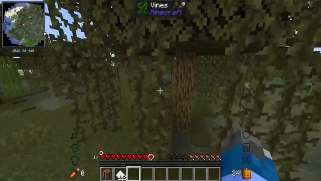 ?SERVER con MODS RPG? MINECRAFT 1.18.2 NO PREMIUM? (24/7 ABIERTO) смотреть онлайн