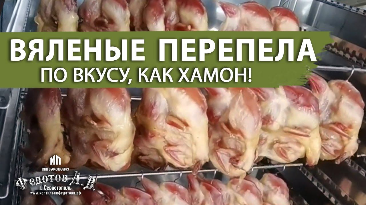 ВЯЛЕНЫЕ ПЕРЕПЕЛА от Эдуарда Перепелкина в новой коптильне от ИП Федотова А. В. смотреть онлайн