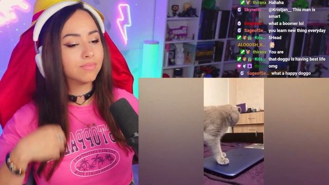 TRY NOT TO LAUGH WATCHING FUNNY FAILS VIDEOS #61 | Bunnymon REACTS смотреть онлайн