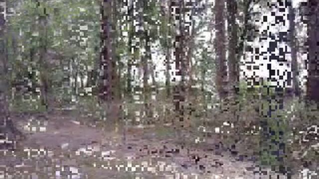 Ankum Mtb Tour смотреть онлайн