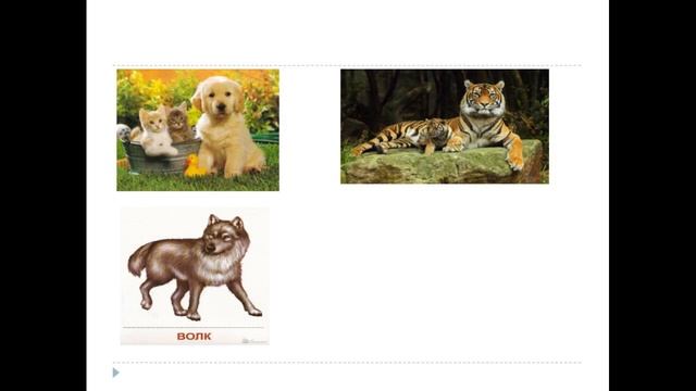 Дидактическая игра "Найди пару" смотреть онлайн