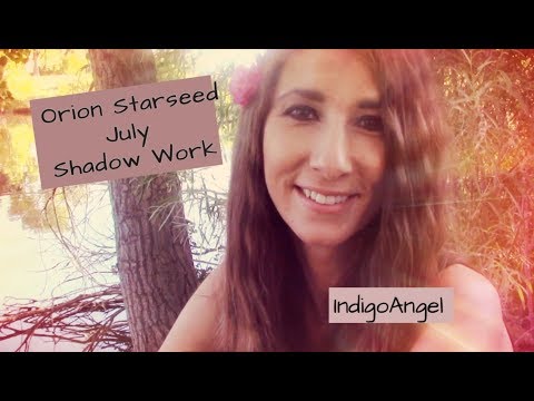Orion Energy Update//SHADOW WORK//July