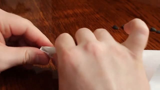 Оригами из бумаги. Кулек для семечек смотреть онлайн