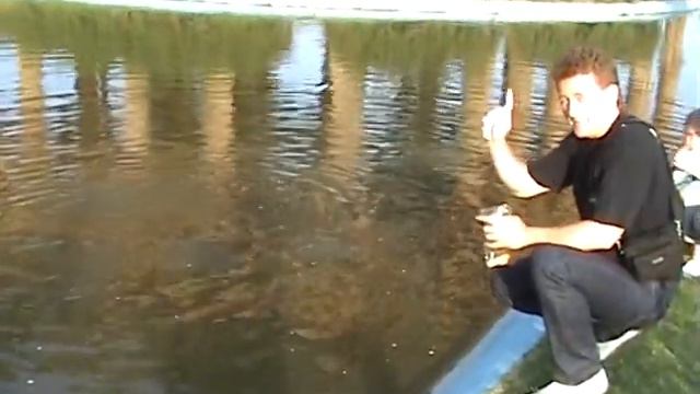 Рыба жрёт поп-корн смотреть онлайн