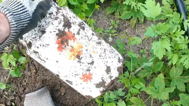 Небольшой Коп С Металлоискателем Пират Довольно неплохое железо №50 смотреть онлайн