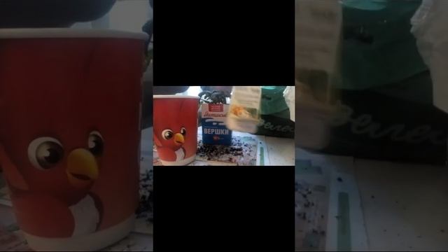 томат "рождественская елка" и витаминная зелень на окне,сею крес- салат смотреть онлайн